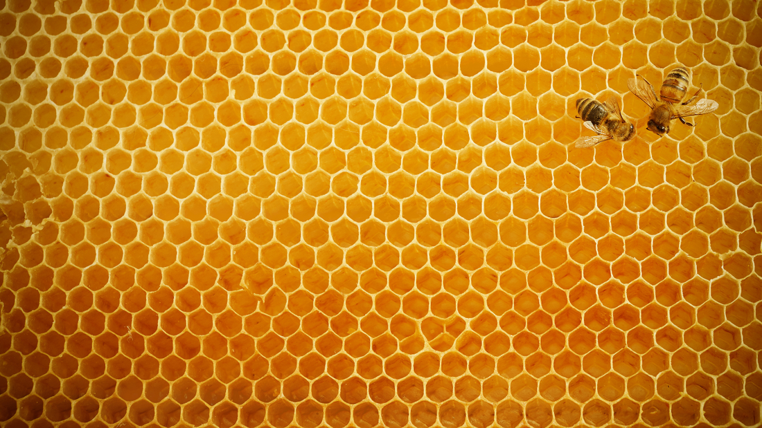 ¿Para qué sirve el propóleo?