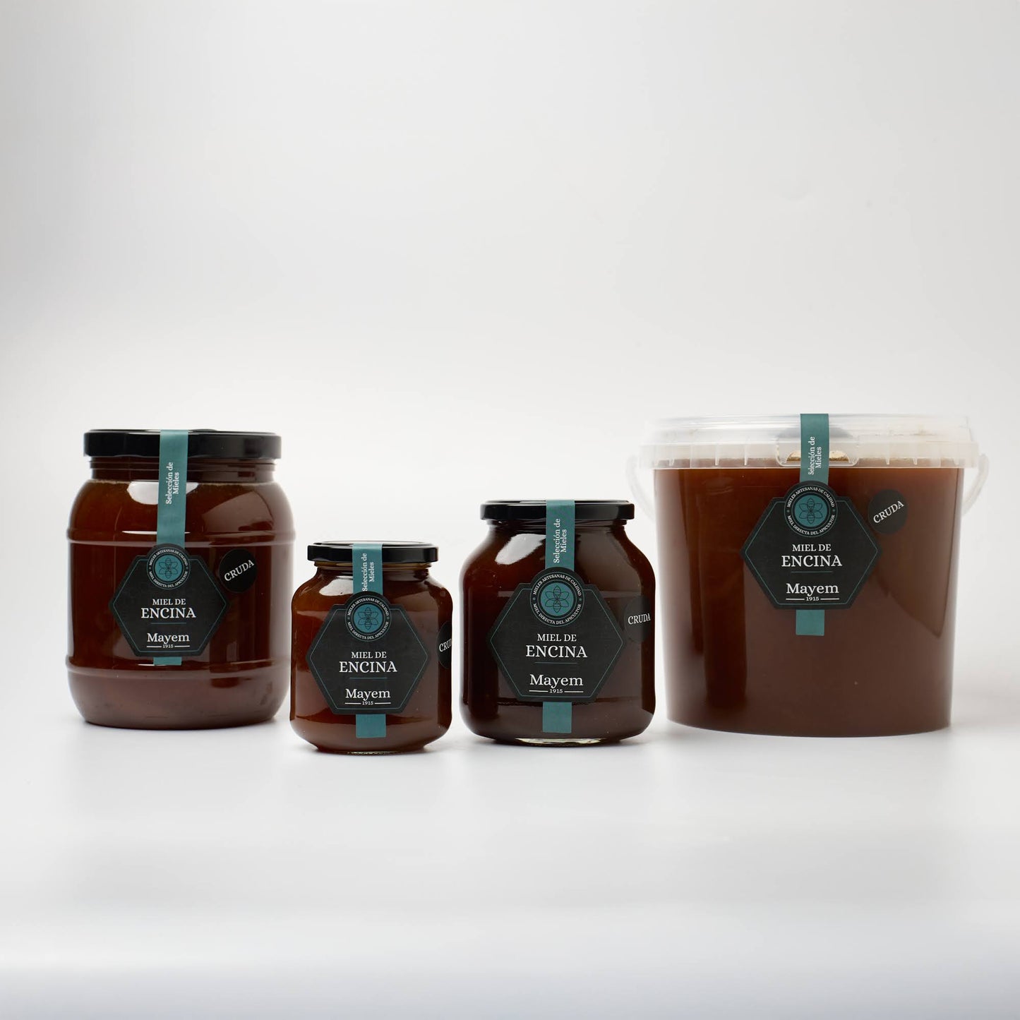 Miel de Encina Cruda - León