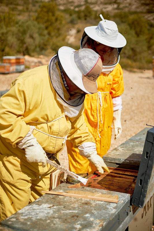 La historia que no se ve en cada tarro de miel