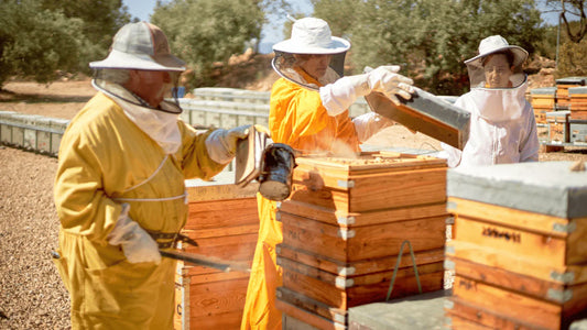 Qué papel tienen las abejas en el entorno natural y por qué es importante entenderlo