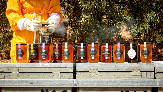 Por qué el proceso artesanal marca la diferencia en la miel: tiempos, decisiones y origen