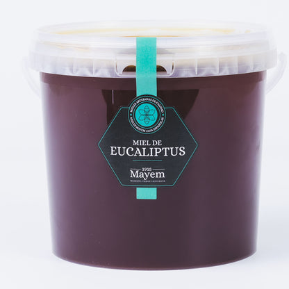Eucalyptus Honey - Malaga