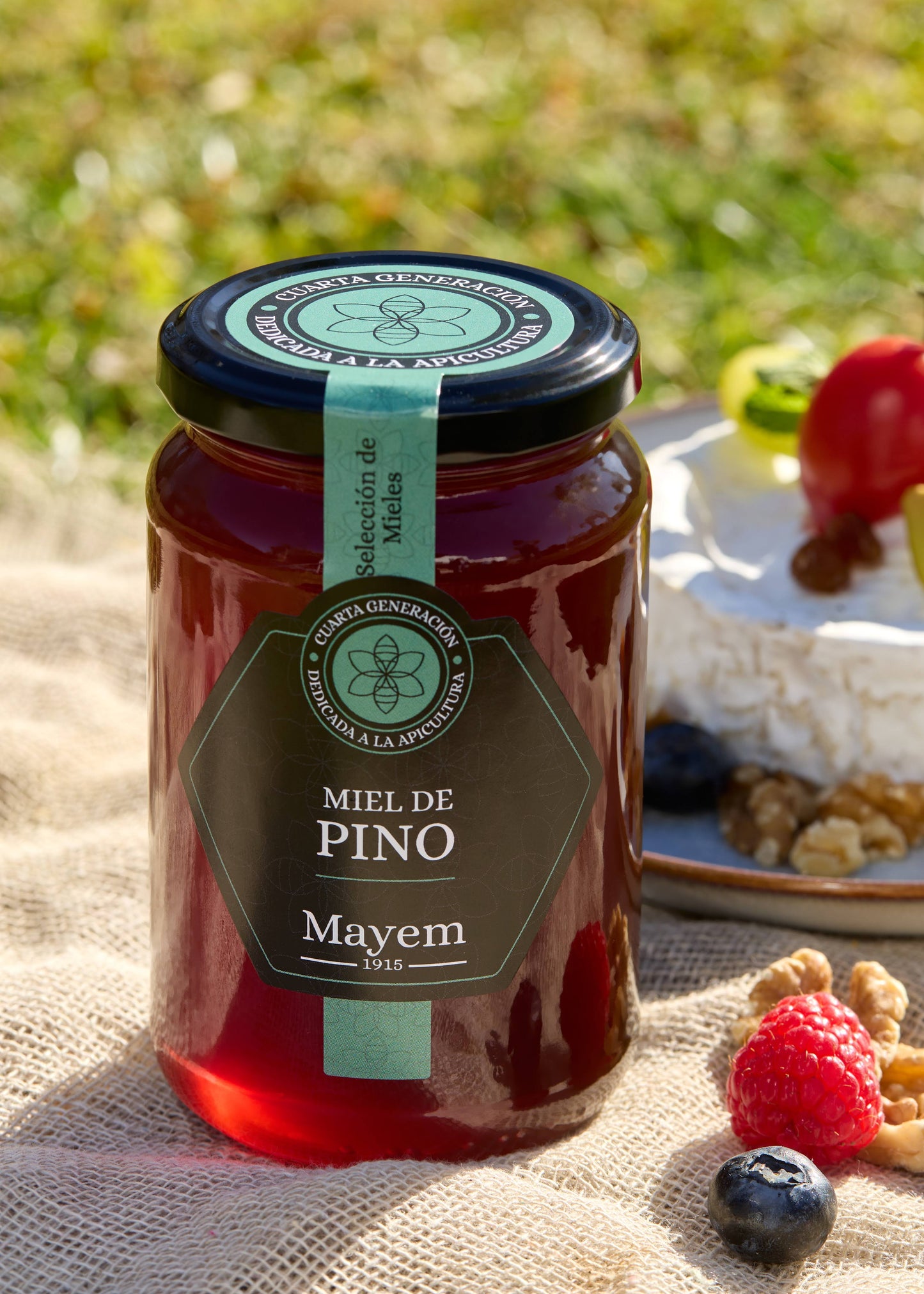 Miel de pin - Ségovie