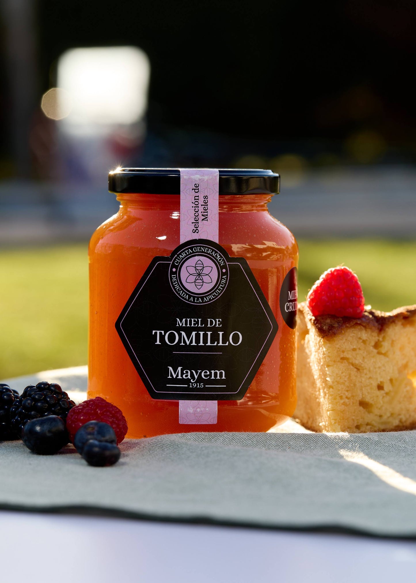 Miel de Tomillo Cruda - Cosechada en Teruel