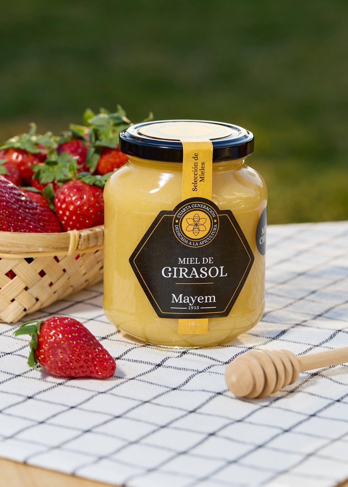 Miel de Girasol Cruda - Cosechada en Cuenca
