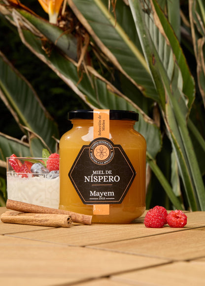 Raw Loquat Honey - Alicante