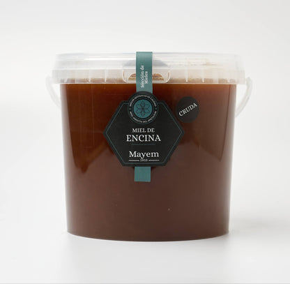 Miel de Encina Cruda - León